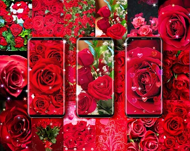 Red rose live wallpaper Unknown
