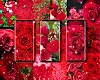 screenshot of Red rose live wallpaper