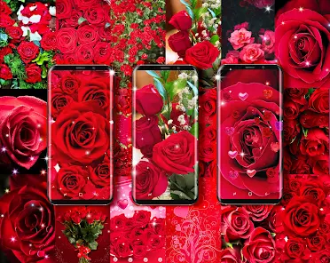 Red Rose Live Wallpaper Apps On