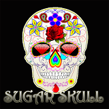 Everything Sugar Skulls icon