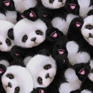 Cute Panda Wallpapers apk