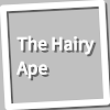 Book, The Hairy Ape icon