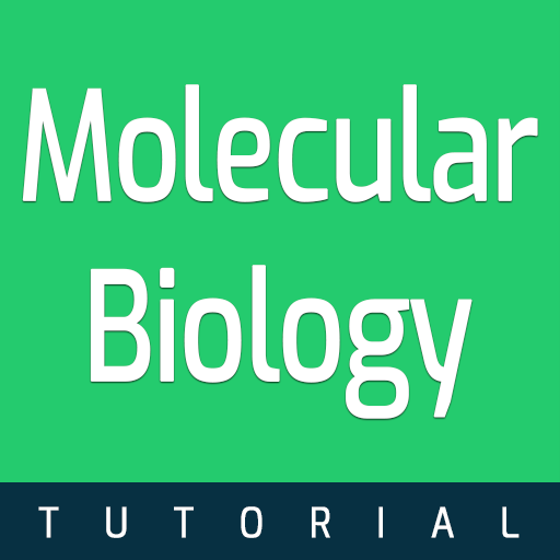 Molecular Biology