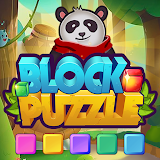 Block Puzzle 2021 icon