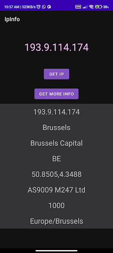 IP-Info Screen 3
