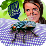 Insect Sim: Fly Survival 2 icon