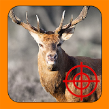 Trophy Hunt: Deer Season 2014 icon