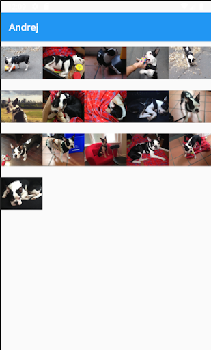 Memory Game Screen 2