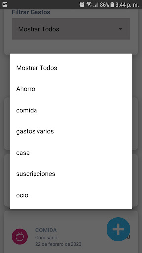 Rokave Control de Gastos Screen 3