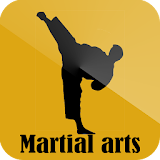 Martial arts icon