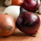 18 Great Benefits of Onions icon