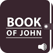 Audio Bible - Book Of John KJV Only