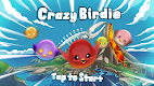 screenshot of Crazy Birdie