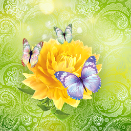 Imatge d'icona Cute Butterfly Live Wallpaper
