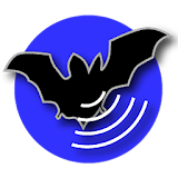 Bat Recorder icon