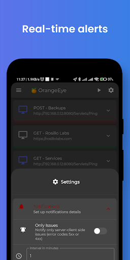 OrangeEye Monitor & API Tester Screen 2