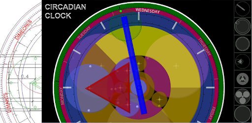 Circadian clock