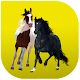 Old Town Road Button 2019 Install on Windows