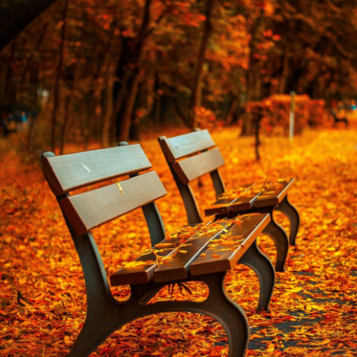 Autumn Live Wallpaper logo