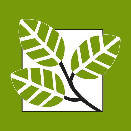 MyFSB Banking App logo