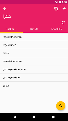 Turkish Arabic Dictionary Screen 2