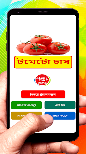 Android application টমেটো চাষ ~ Tomato Cultivation screenshort