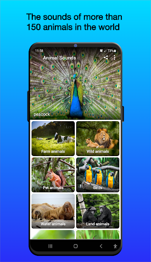 Screenshot of Animal Sounds