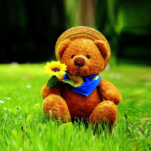 5d Teddy Bear Live Wallpaper Google Play のアプリ
