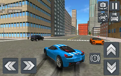 Ultimate Car Simulator