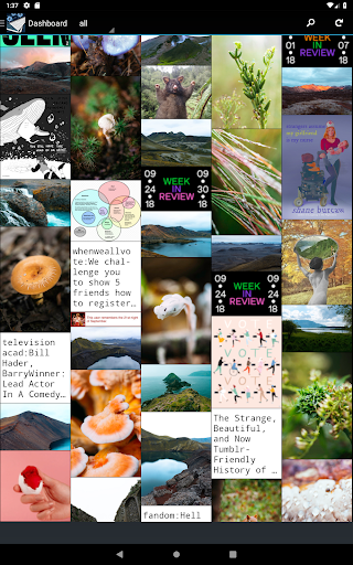 Tumbletail lite for Tumblr Screen 3