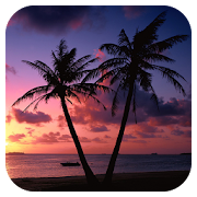 Top 40 Lifestyle Apps Like Beach Sunset Live Wallpaper - Best Alternatives