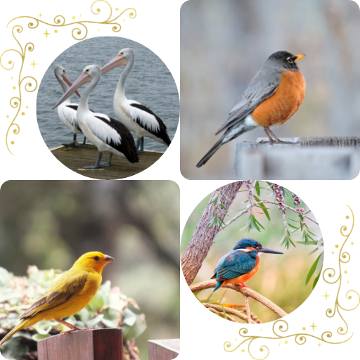 Guess Which Bird It Is! logo