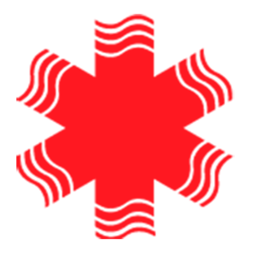 Emerlife logo