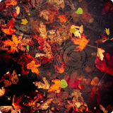 Autumn Live Wallpaper HD 2 icon