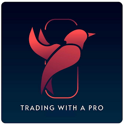 图标图片“Trading with a pro”