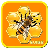 Honeygain: Play & Win Clue icon