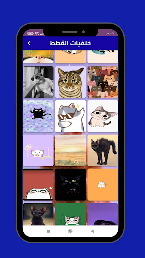 خلفيات القطط Screen 3