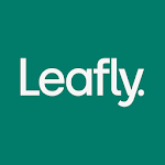 Cover Image of Download Leafly: Find Cannabis and CBD  APK