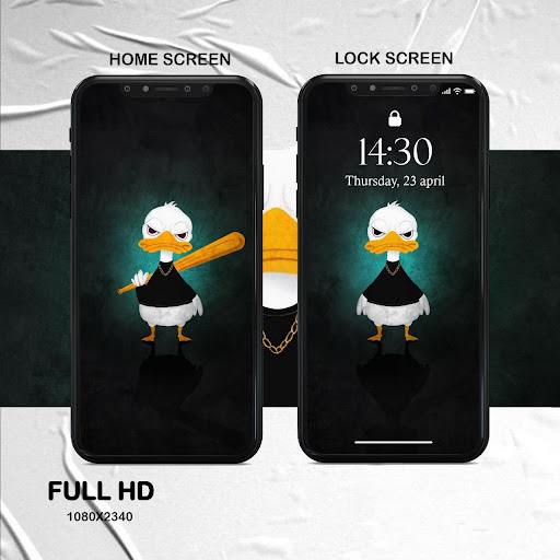 funny animal wallpaper Screen 2