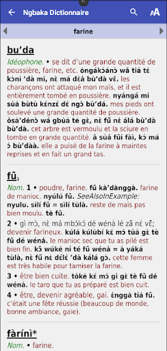 Ngbaka Dictionnaire Screen 3