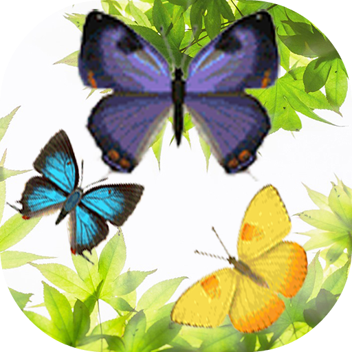 Butterfly and Blossom live wal  Icon