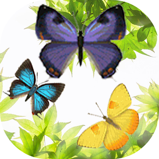 Butterfly and Blossom live wal Scarica su Windows