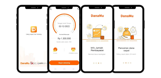 DanaMu Pinjaman Online Guide