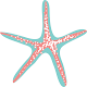 Seven Starfish Boutique Download on Windows