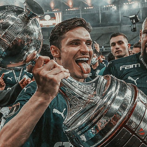 Palmeiras Papel de Parede - HD Download on Windows