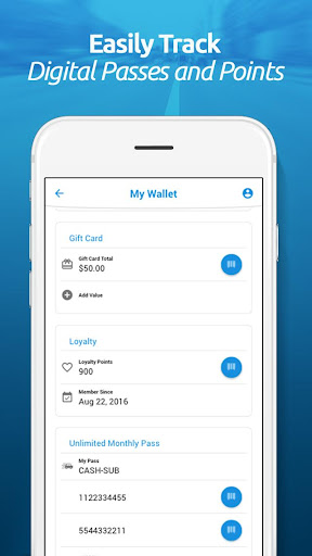 NASCAR Car Wash Florida