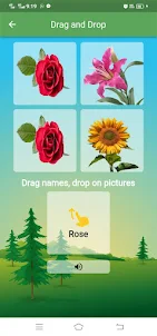 Flower Names & Quiz
