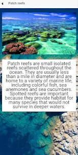Reef types