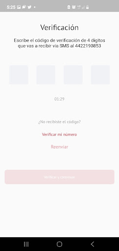 Adelanto de Nómina Screen 2
