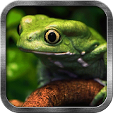 Tree Frog Live Wallpaper icon